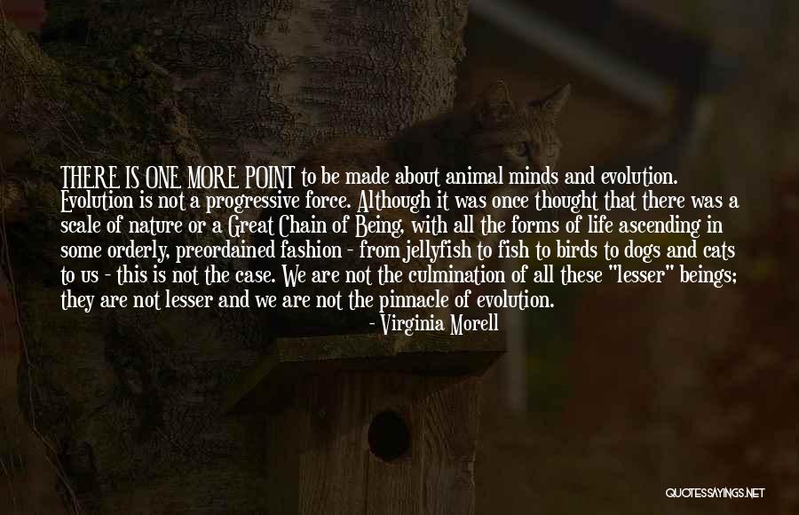 This Life Is Not All There Is Quotes By Virginia Morell This Life Is Not All There Is Quotes By Virginia Morell