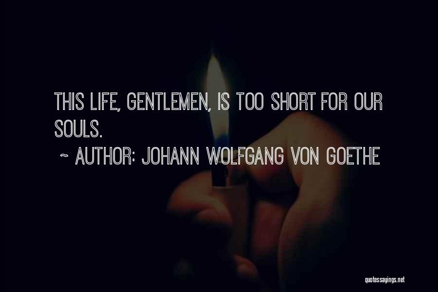 This Life Is Too Short Quotes By Johann Wolfgang Von Goethe