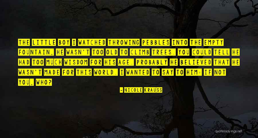 This Little Boy Quotes By Nicole Krauss This Little Boy Quotes By Nicole Krauss