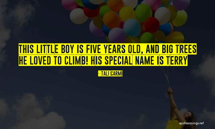 This Little Boy Quotes By Tali Carmi This Little Boy Quotes By Tali Carmi