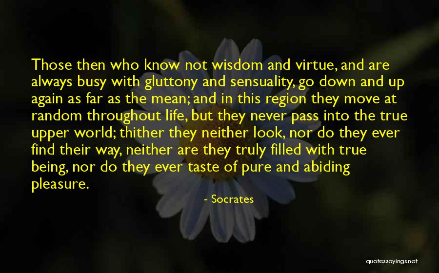 This Mean World Quotes By Socrates