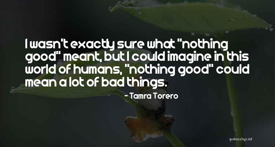 This Mean World Quotes By Tamra Torero