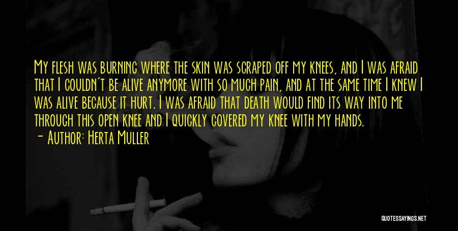 This Pain Quotes By Herta Muller