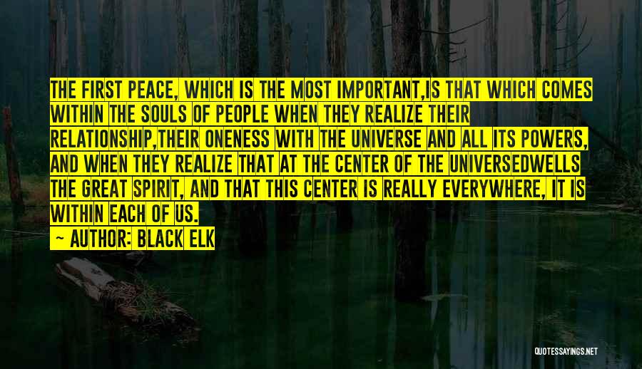 This Relationship Quotes By Black Elk