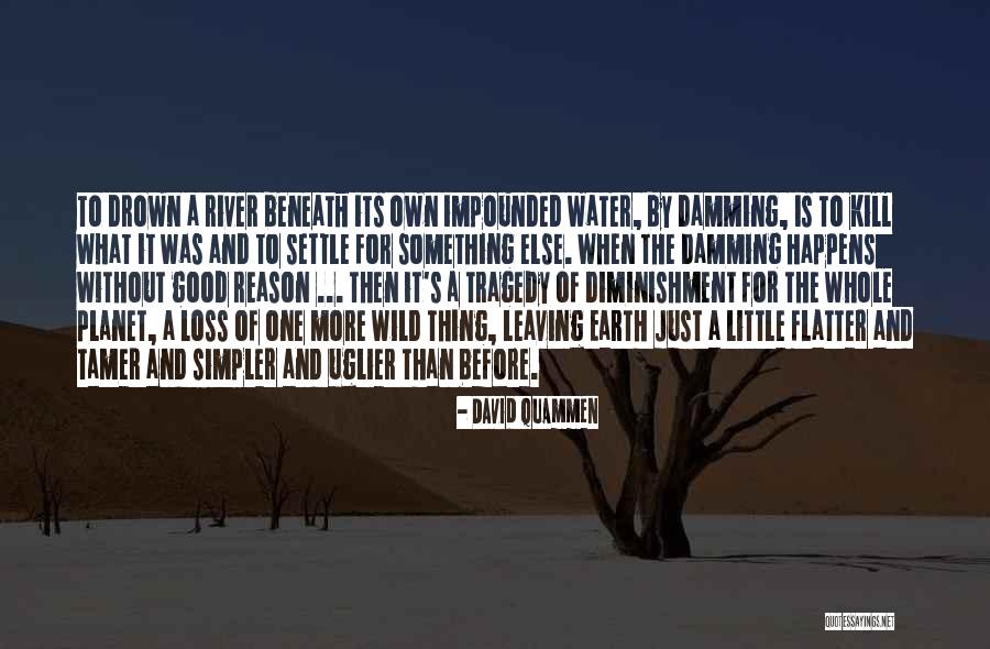 This River Is Wild Quotes By David Quammen This River Is Wild Quotes By David Quammen