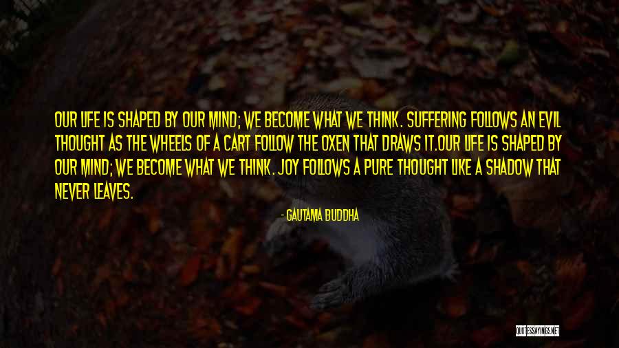 This Shadow Follows Me Quotes By Gautama Buddha This Shadow Follows Me Quotes By Gautama Buddha