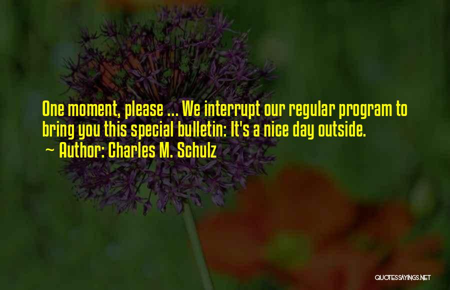 This Special Day Quotes By Charles M. Schulz