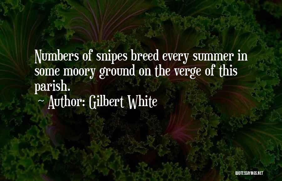 This Summer Quotes By Gilbert White