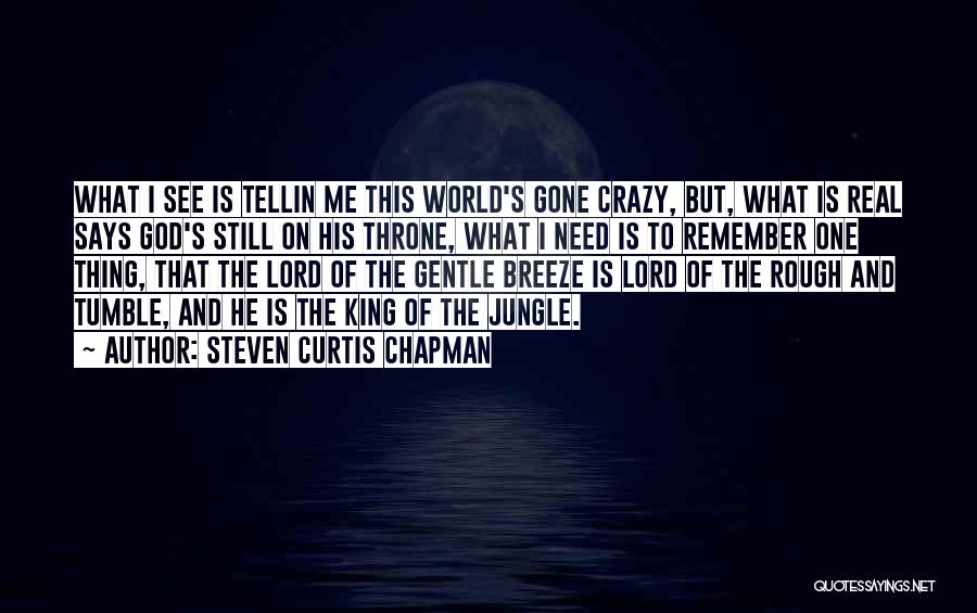 This World Is Crazy Quotes By Steven Curtis Chapman