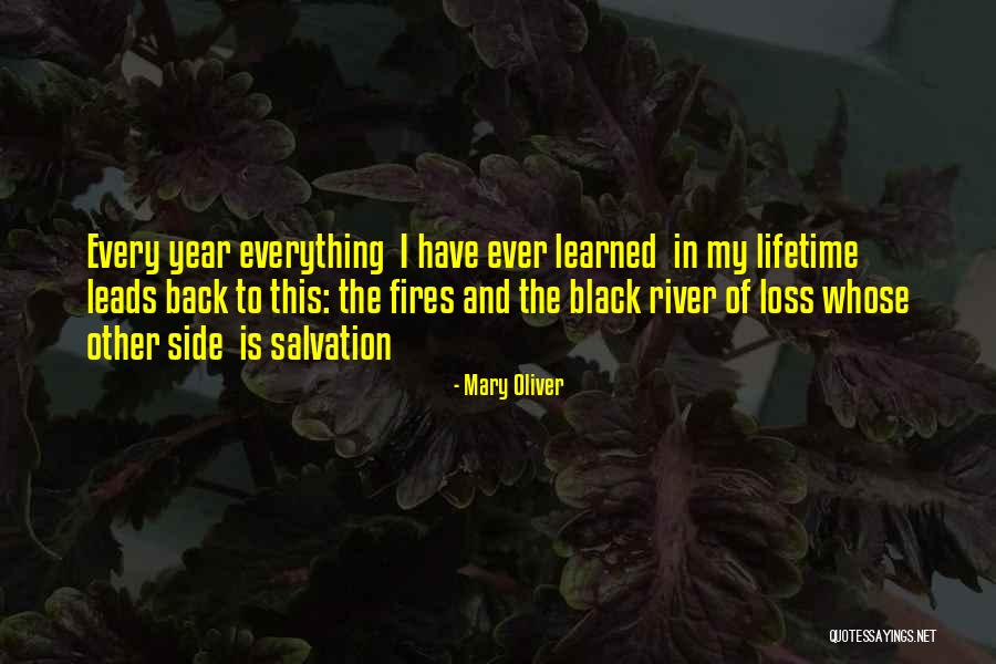 This Year I've Learned Quotes By Mary Oliver