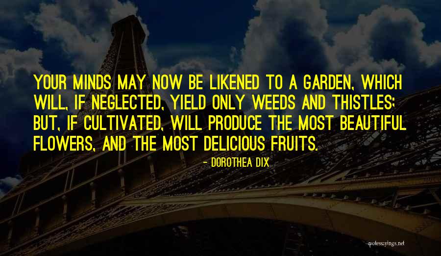 Thistles And Weeds Quotes By Dorothea Dix Thistles And Weeds Quotes By Dorothea Dix