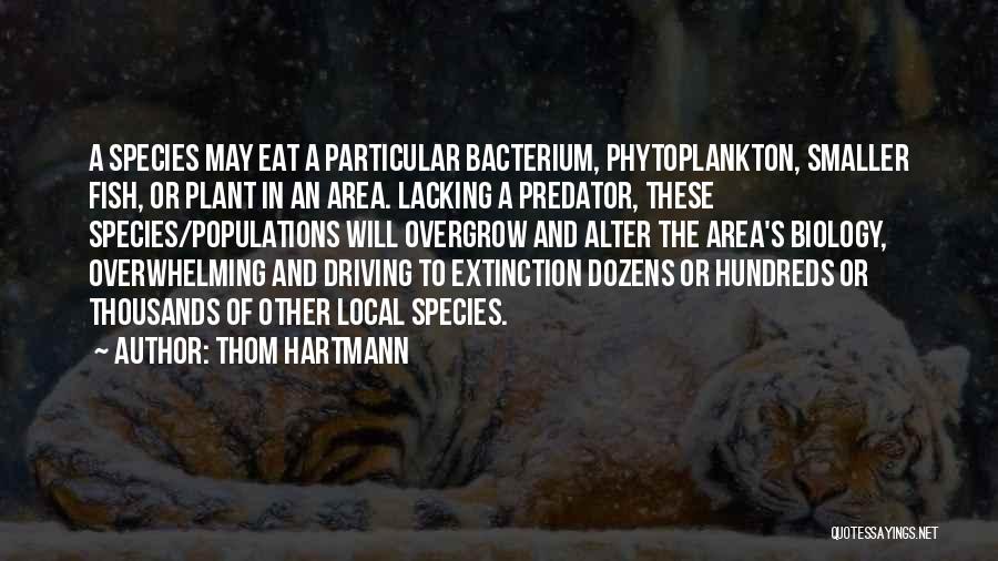 Thom Hartmann Quotes 1577639