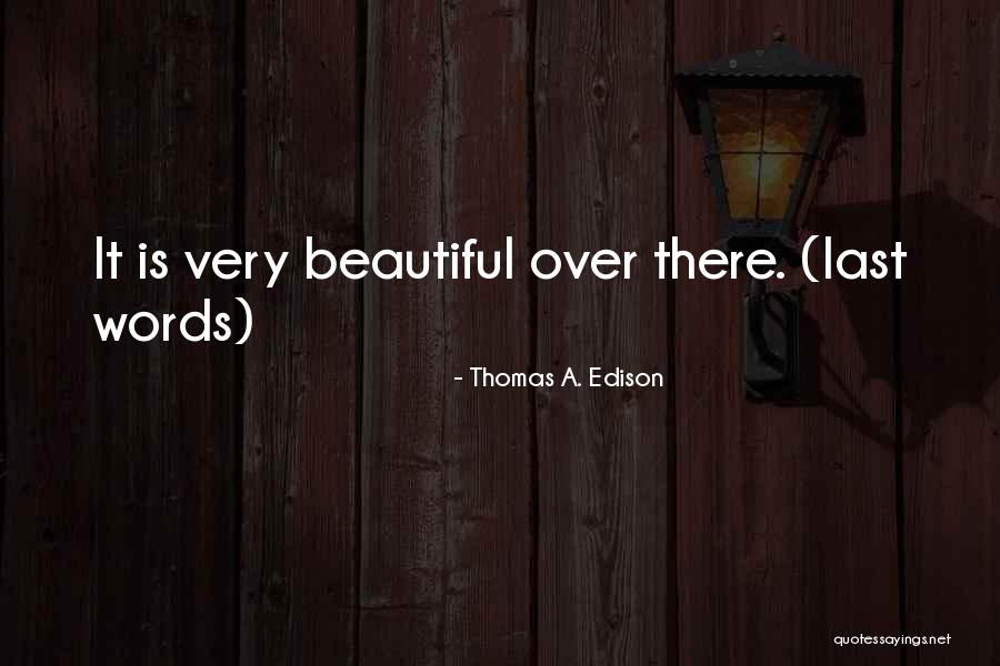 Thomas A. Edison Quotes 1514771