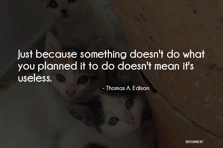 Thomas A. Edison Quotes 1598675