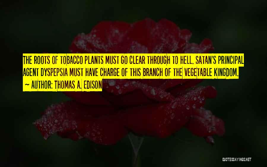 Thomas A. Edison Quotes 1648040