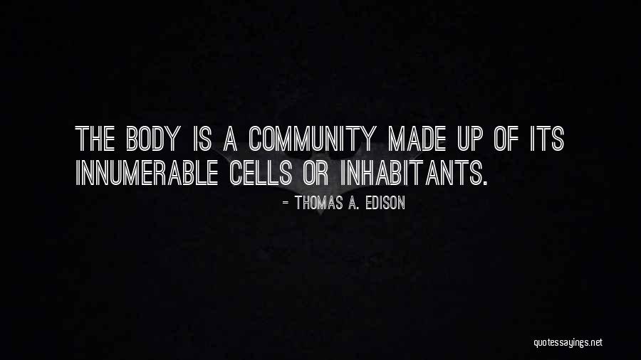 Thomas A. Edison Quotes 806033