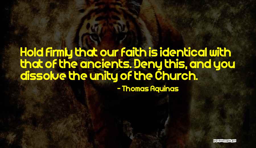 Thomas Aquinas Quotes 1636083