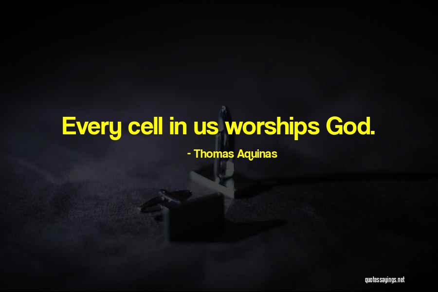 Thomas Aquinas Quotes 2112547