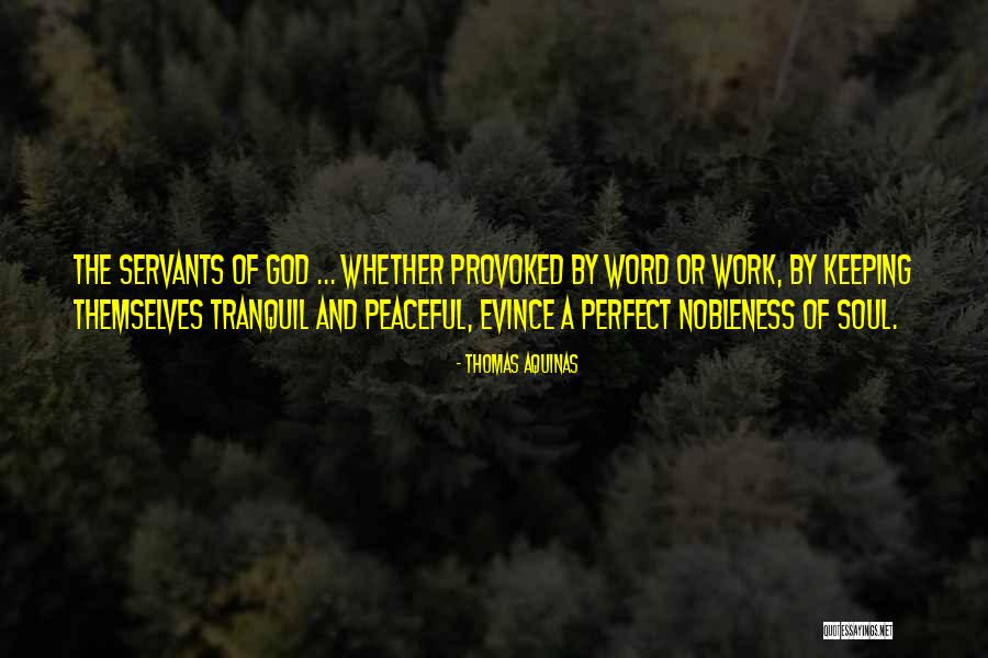 Thomas Aquinas Quotes 759429 Thomas Aquinas Quotes 759429