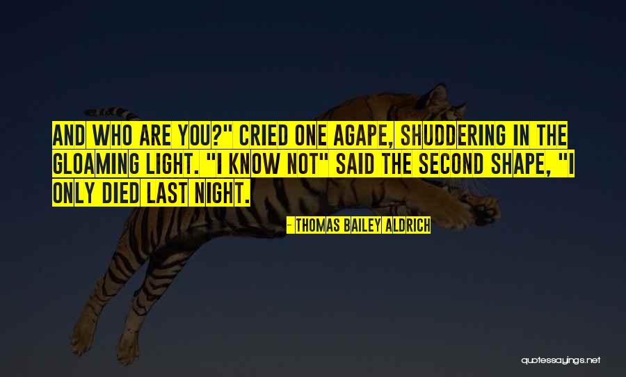 Thomas Bailey Aldrich Quotes 1636525