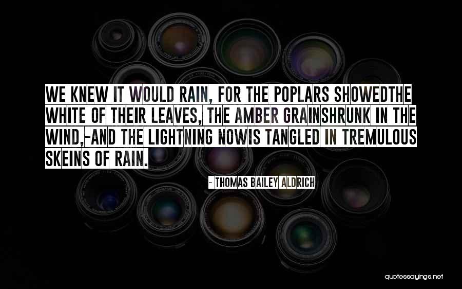 Thomas Bailey Aldrich Quotes 639750