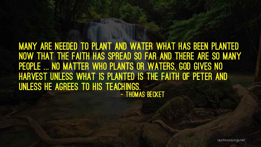 Thomas Becket Quotes 1269000 Thomas Becket Quotes 1269000