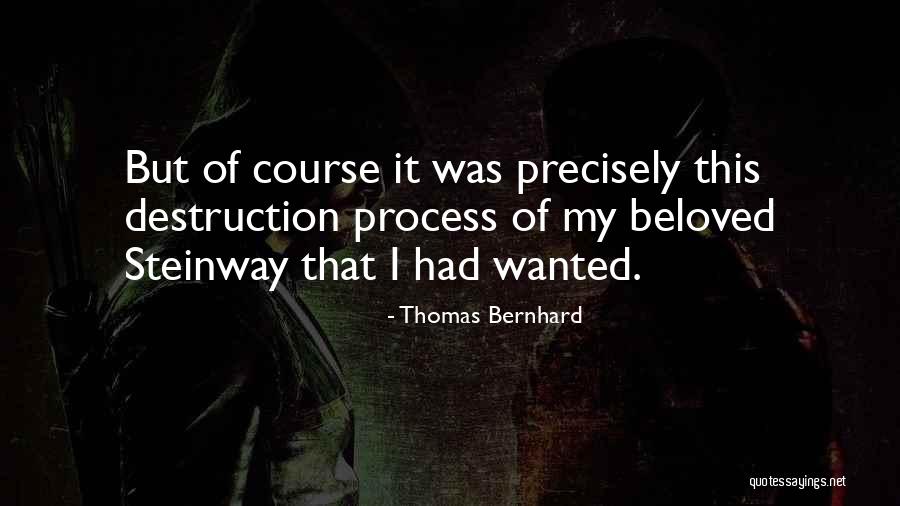 Thomas Bernhard Quotes 593478 Thomas Bernhard Quotes 593478