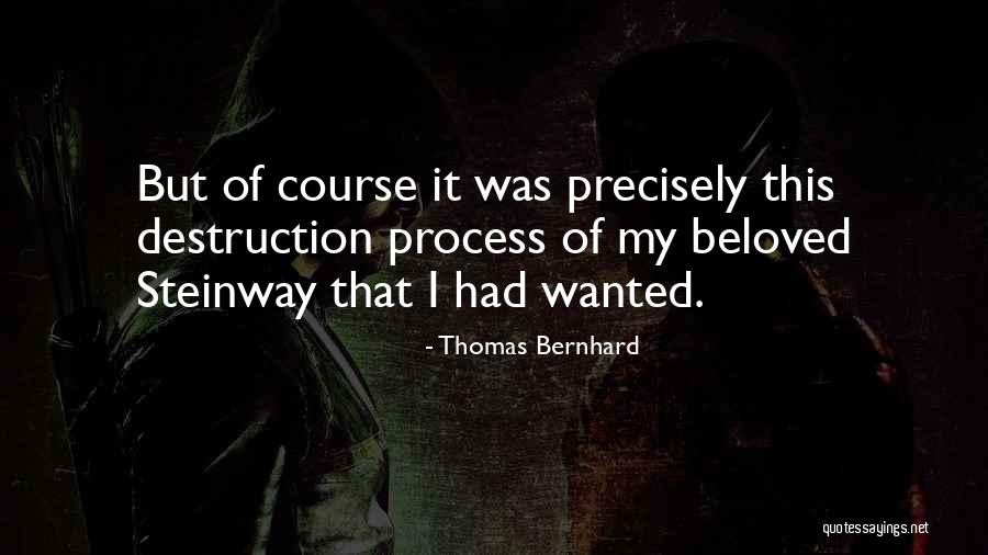 Thomas Bernhard Quotes 593478