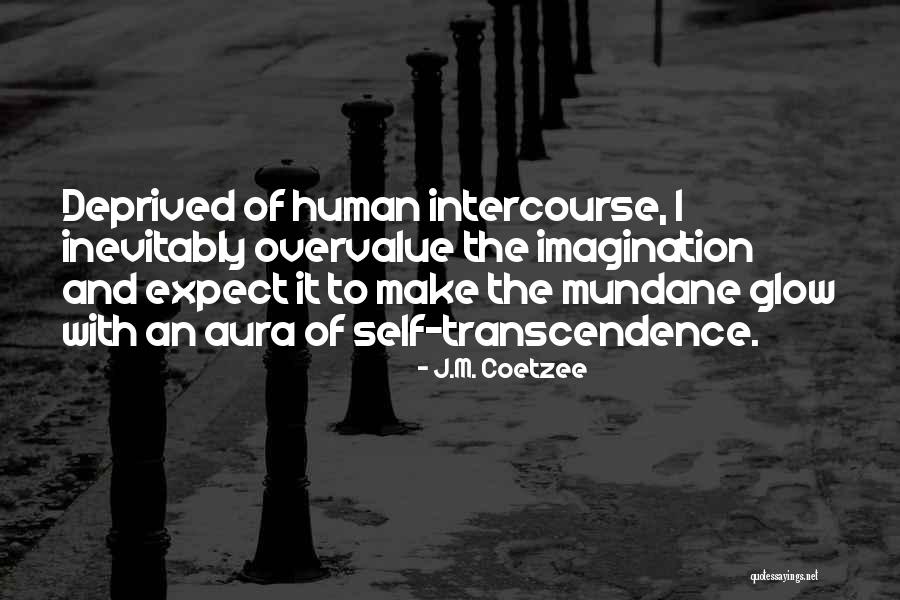 Thomas Bernhard Woodcutters Quotes By J.M. Coetzee Thomas Bernhard Woodcutters Quotes By J.M. Coetzee