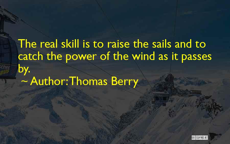 Thomas Berry Quotes 1241502