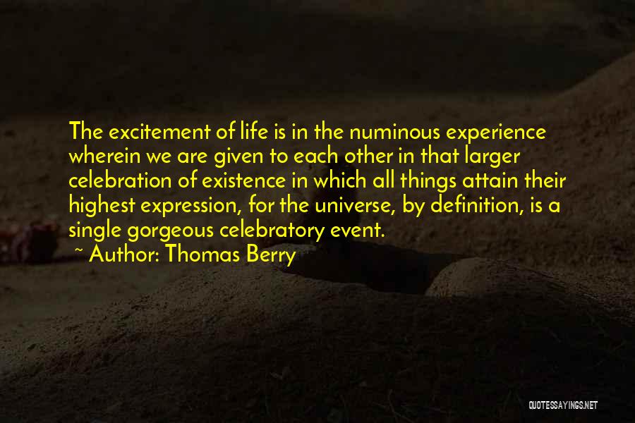 Thomas Berry Quotes 1460132