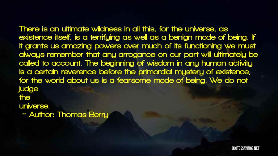 Thomas Berry Quotes 1636766