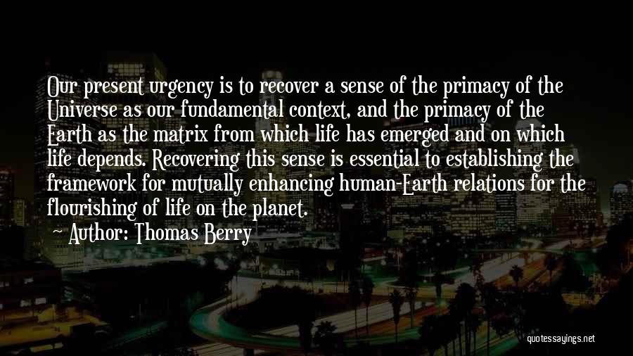 Thomas Berry Quotes 1708599