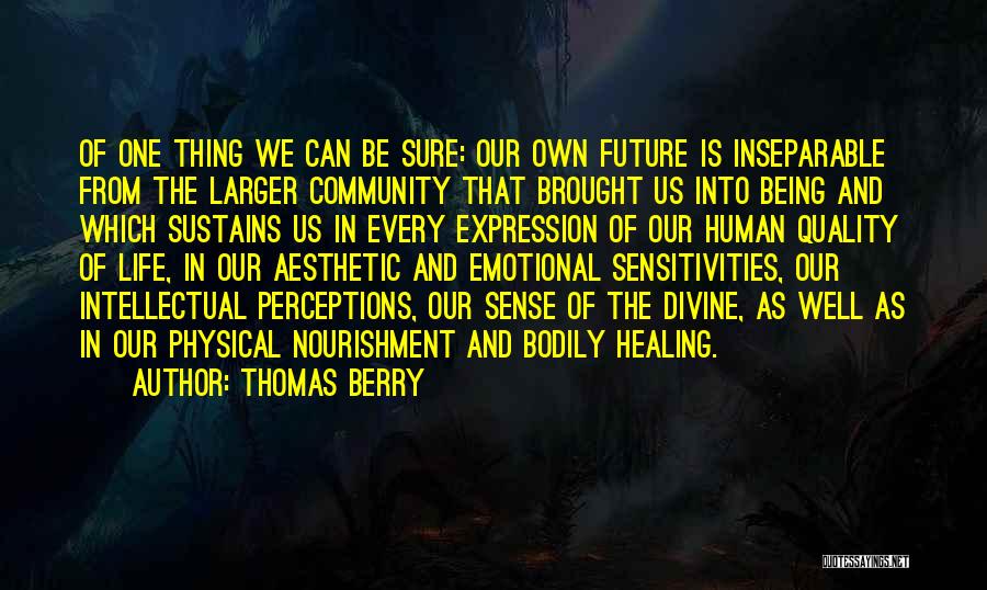 Thomas Berry Quotes 1729454