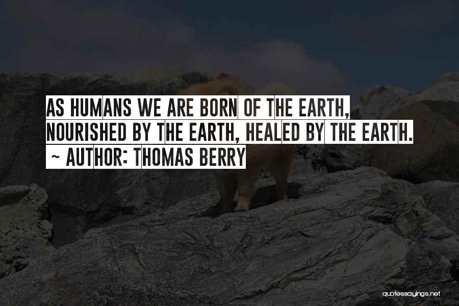 Thomas Berry Quotes 2196603