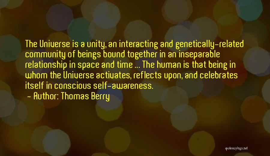 Thomas Berry Quotes 511628