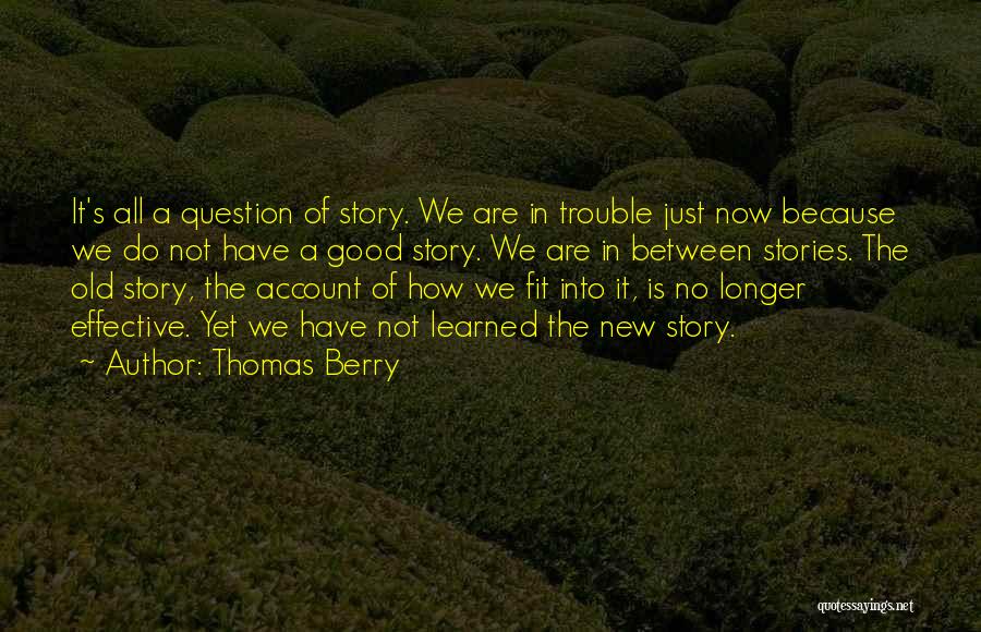 Thomas Berry Quotes 555908