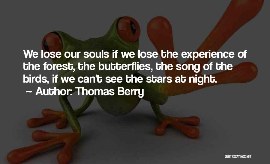 Thomas Berry Quotes 662505