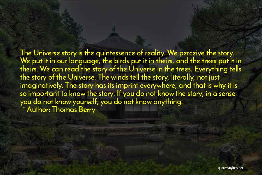 Thomas Berry Quotes 883366