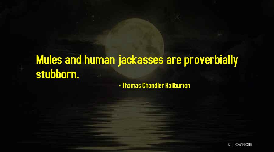 Thomas Chandler Haliburton Quotes 542261