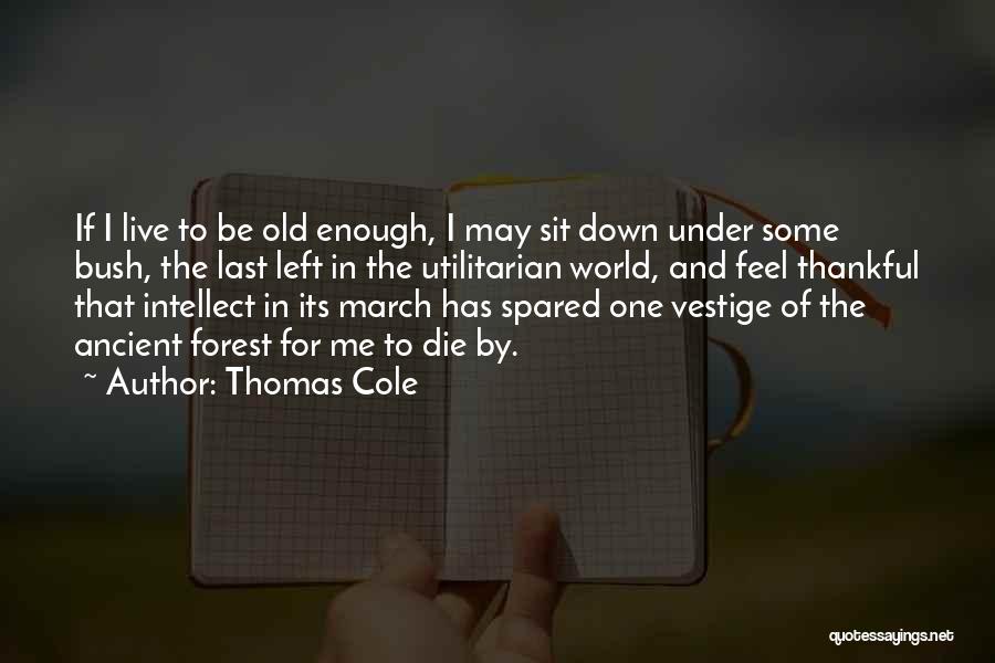 Thomas Cole Quotes 1732947