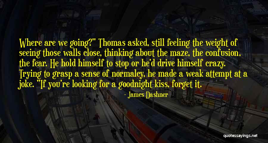 Thomas D'aquin Quotes By James Dashner