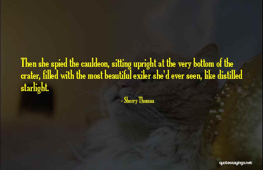 Thomas D'aquin Quotes By Sherry Thomas