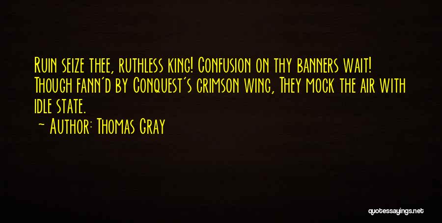 Thomas D'aquino Quotes By Thomas Gray