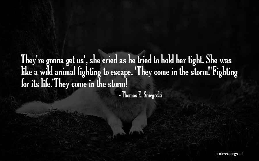 Thomas E. Sniegoski Quotes 1128882