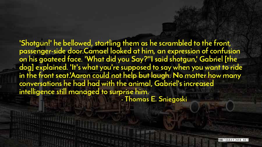 Thomas E. Sniegoski Quotes 1245959 Thomas E. Sniegoski Quotes 1245959