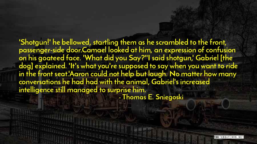 Thomas E. Sniegoski Quotes 1245959