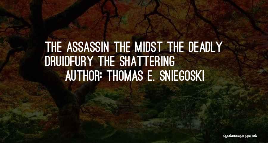 Thomas E. Sniegoski Quotes 537992