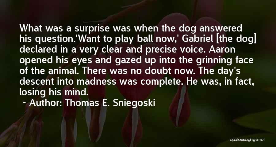 Thomas E. Sniegoski Quotes 767224