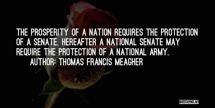 Thomas Francis Meagher Quotes 1763179